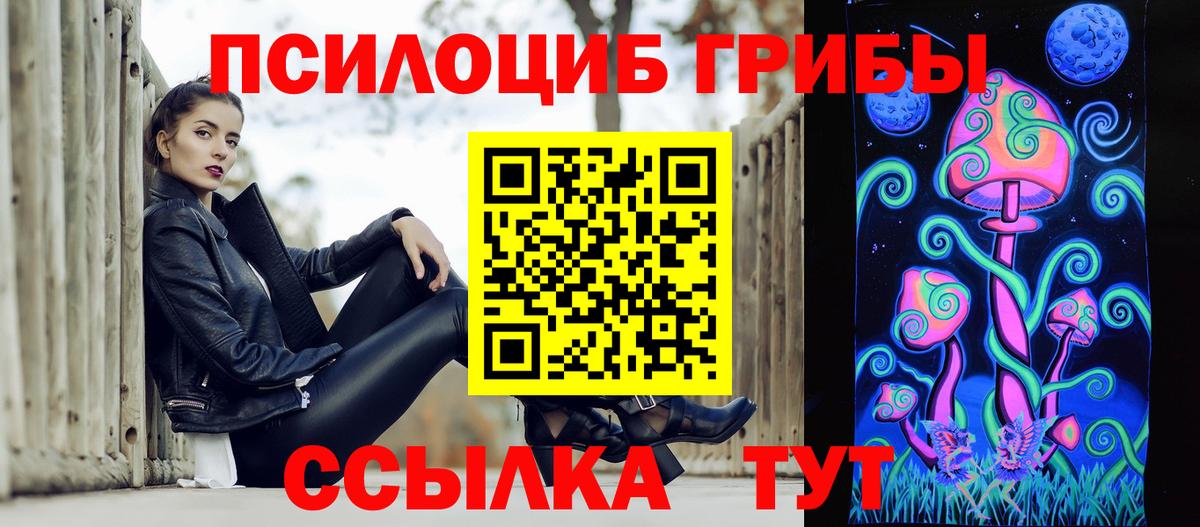 Ангарск  Галлюциногенные грибы Psilocybine cubensis  Вход с VPN 